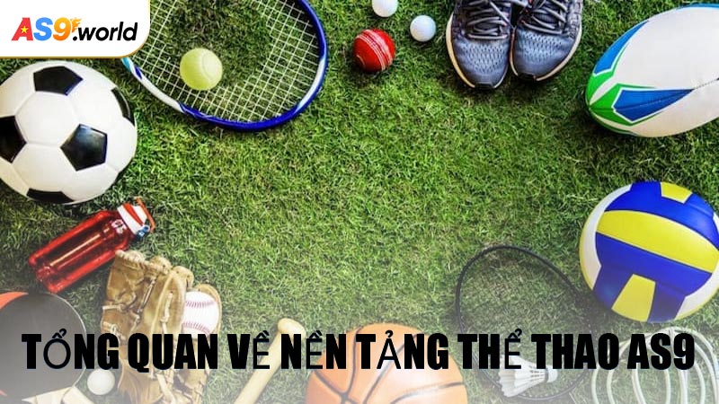 Tổng Quan Về Nền Tảng Thể Thao AS9